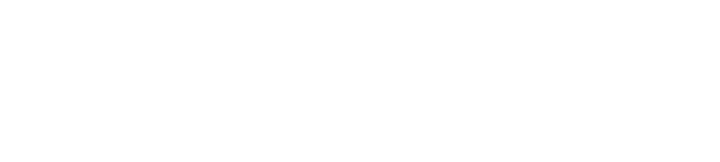 Best Online Casino New Zealand Logo